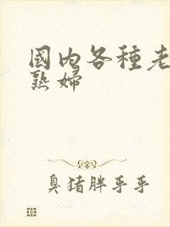 国内各种老熟女熟妇