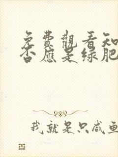 免费观看知否知否应是绿肥红瘦 tv版封面