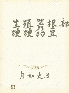 生殖器根部起个硬硬的豆