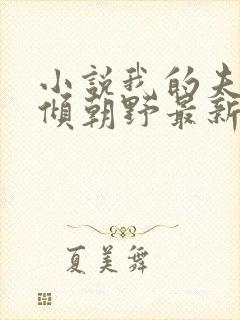 小说我的夫君权倾朝野最新章节