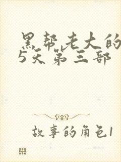 黑帮老大的365天第三部