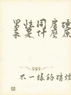 男性同房硬不起来是什么原因