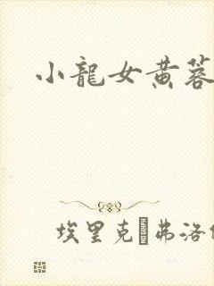 小龙女黄蓉专辑