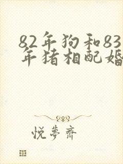 82年狗和83年猪相配婚姻如何