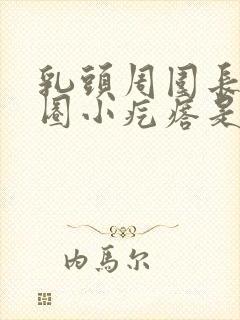 乳头周围长了一圈小疙瘩是什么原因