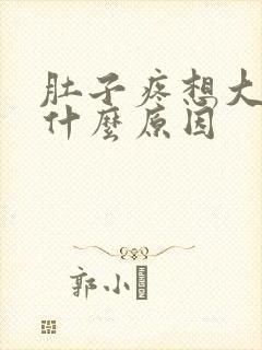 肚子疼想大便是什么原因