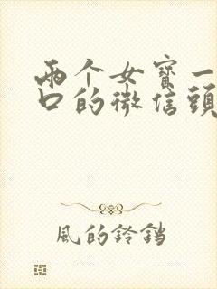 两个女宝一家四口的微信头像