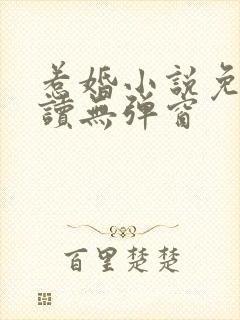 惹婚小说免费阅读无弹窗