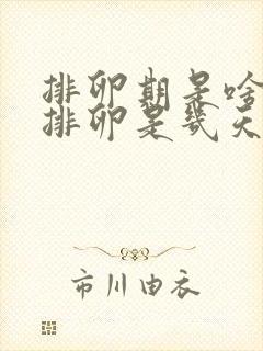 排卵期是啥时候排卵是几天