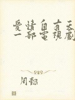 爱情自有天意第一部电视剧