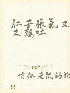 肚子胀气又恶心又想吐