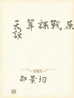 天算谍战原著小说