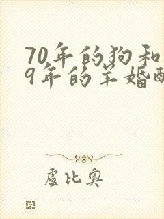 70年的狗和79年的羊婚配是怎么样