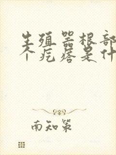 生殖器根部长了个疙瘩是什么