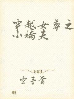 穿越女尊之独宠小娇夫