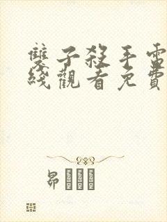 双子杀手电影在线观看免费封面