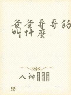 爸爸哥哥的儿子叫什么