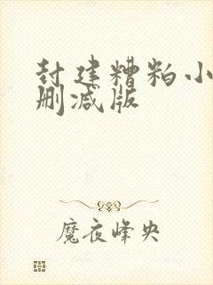 封建糟粕小说无删减版封面