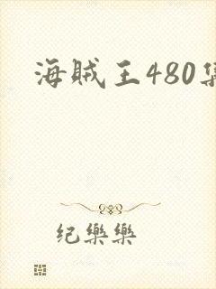 海贼王480集
