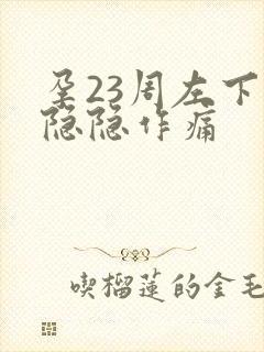 孕23周左下腹隐隐作痛