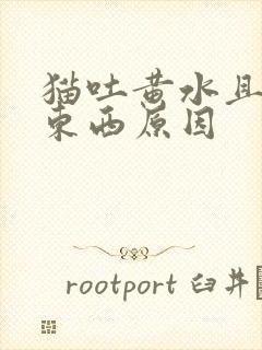 猫吐黄水且不吃东西原因