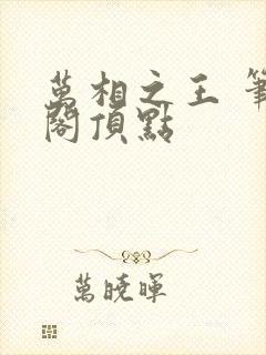 万相之王 笔趣阁顶点