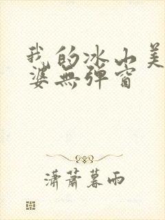 我的冰山美女老婆无弹窗封面