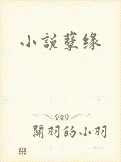 小说孽缘