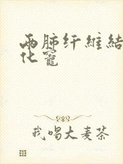 两肺纤维结节钙化灶