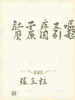 肚子疼又呕吐什么原因引起的