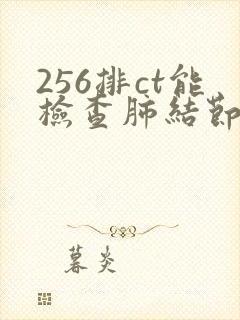 256排ct能检查肺结节