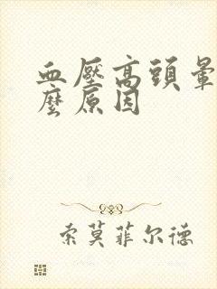 血压高头晕是什么原因