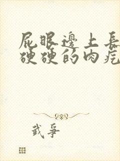 屁眼边上长了个硬硬的肉疙瘩