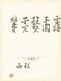 双子杀手电影免费完整国语版