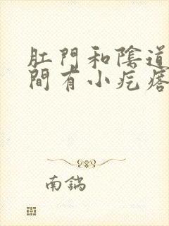 肛门和阴道口中间有小疙瘩封面