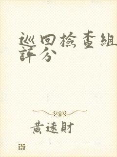 巡回检查组豆瓣评分