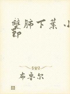 双肺下叶 小结节