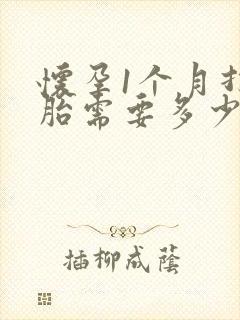 怀孕1个月打掉胎需要多少钱封面