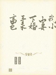 高手下山我的绝色未婚妻小说