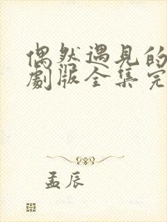 偶然遇见的你短剧版全集完整版在线观看