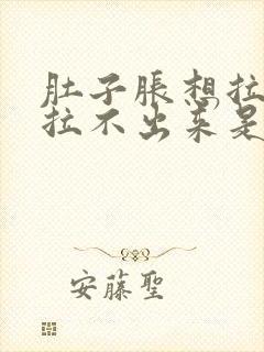 肚子胀想拉屎又拉不出来是怎么回事