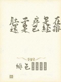 肚子疼是在排卵还是已经排了