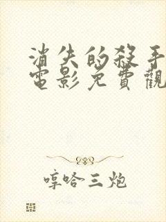 消失的杀手国语电影免费观看