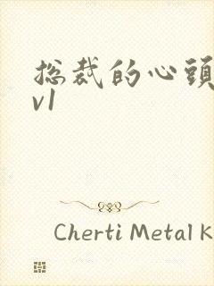 总裁的心头宝1v1