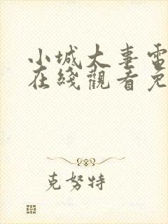 小城大事电视剧在线观看免费22集