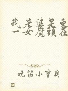 我老婆是东晋第一女魔头在线阅读