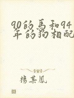 90的马和94年的狗相配吗
