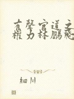 有声官道之绝对权力林鹏飞安江小说