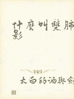 什么叫双肺结节影