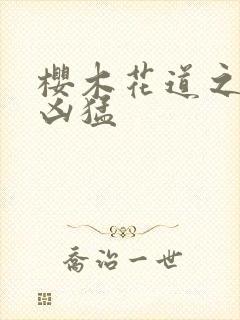 樱木花道之重生凶猛